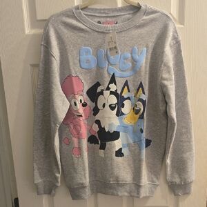 Hybrid Apparel Bluey Gray Sweatshirt Best Buddies Graphic Both Sided Small NWT